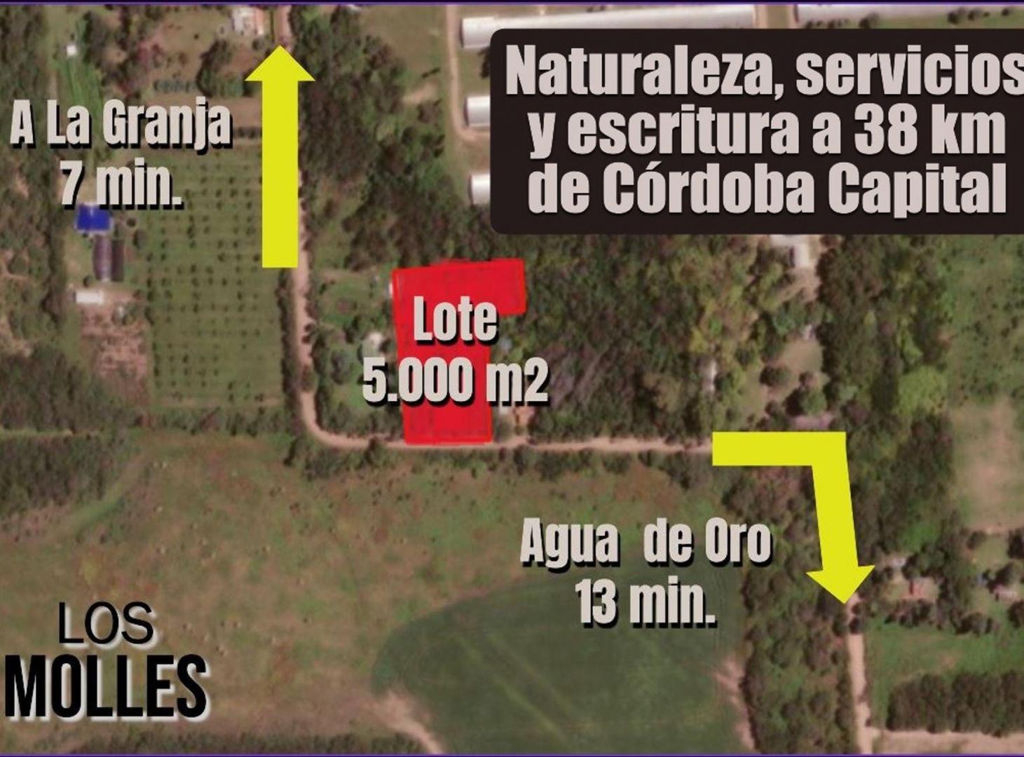 Terreno 5.000 m² para cabañas o casa de descanso