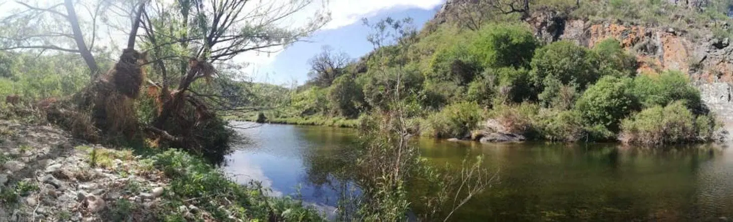 OPORTUNIDAD DE INVERSION CAMPO EN VILLA DE SOTO 3