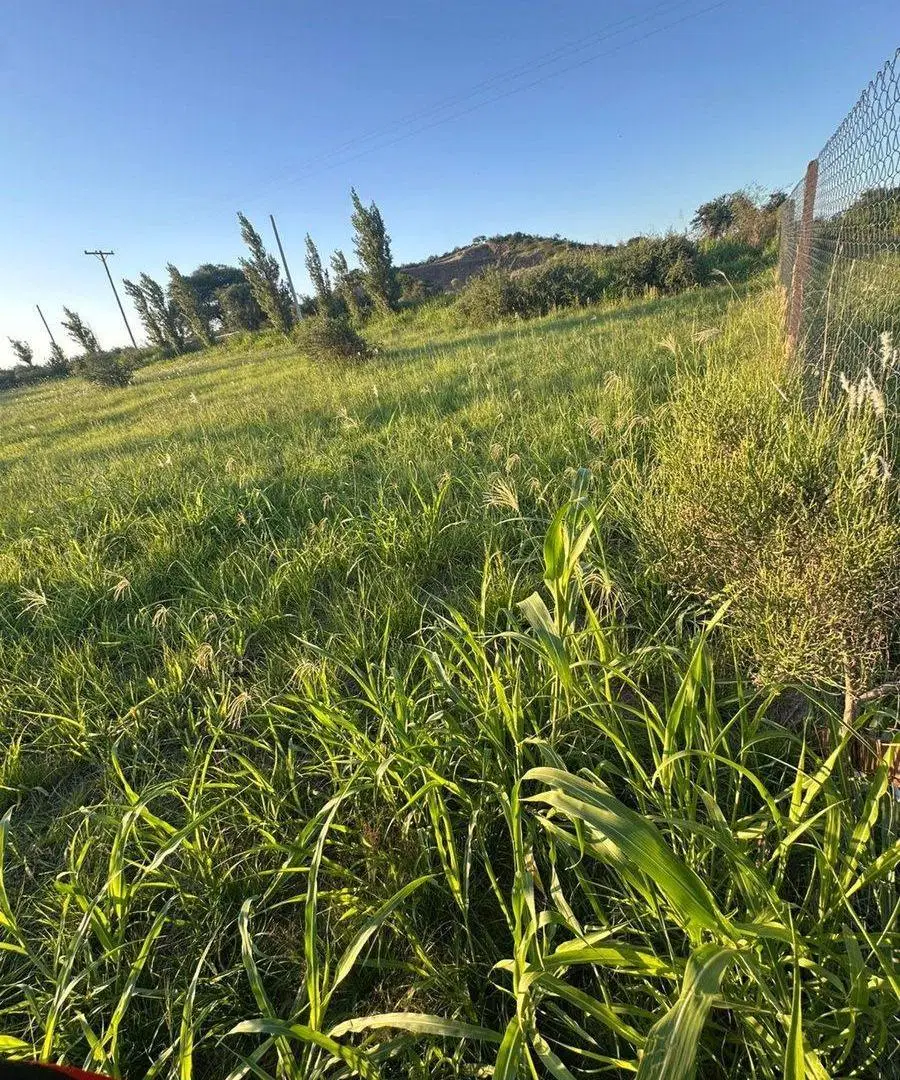 VENTA LOTE SOLES SERRANOS 1 UNQUILLO CÓRDOBA 3