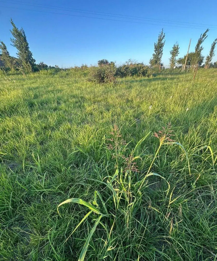 VENTA LOTE SOLES SERRANOS 1 UNQUILLO CÓRDOBA 5