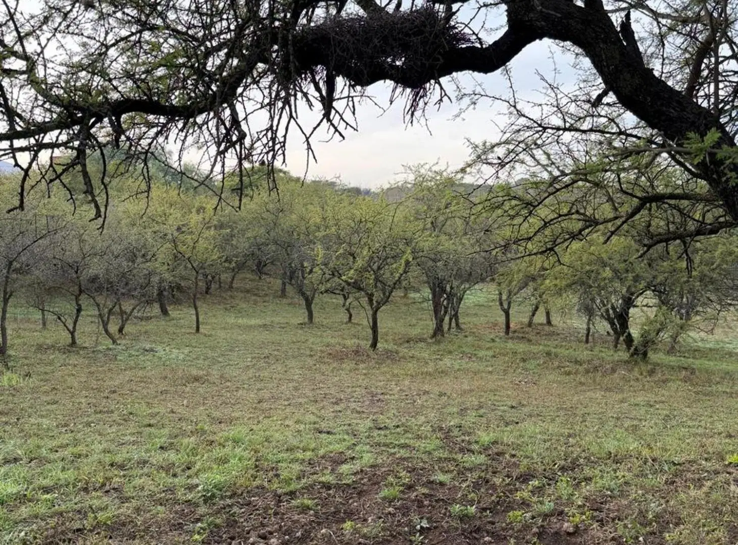LOTE EN VENTA MENDIOLAZA GOLF CORDOBA 5