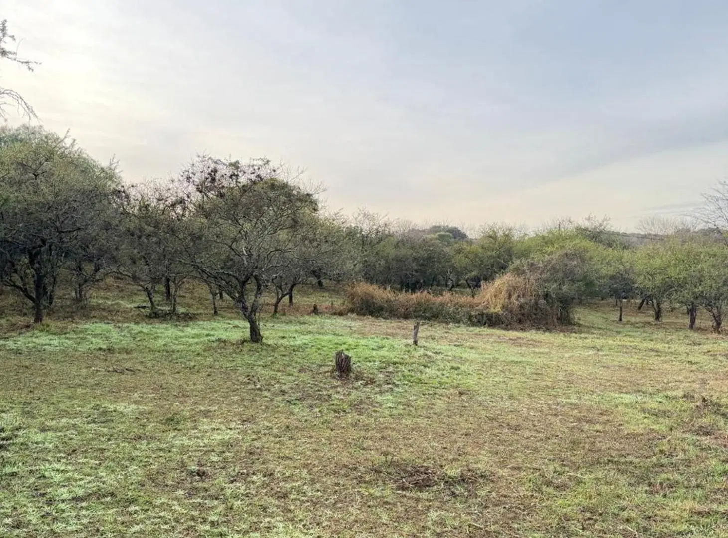 LOTE EN VENTA MENDIOLAZA GOLF CORDOBA 2