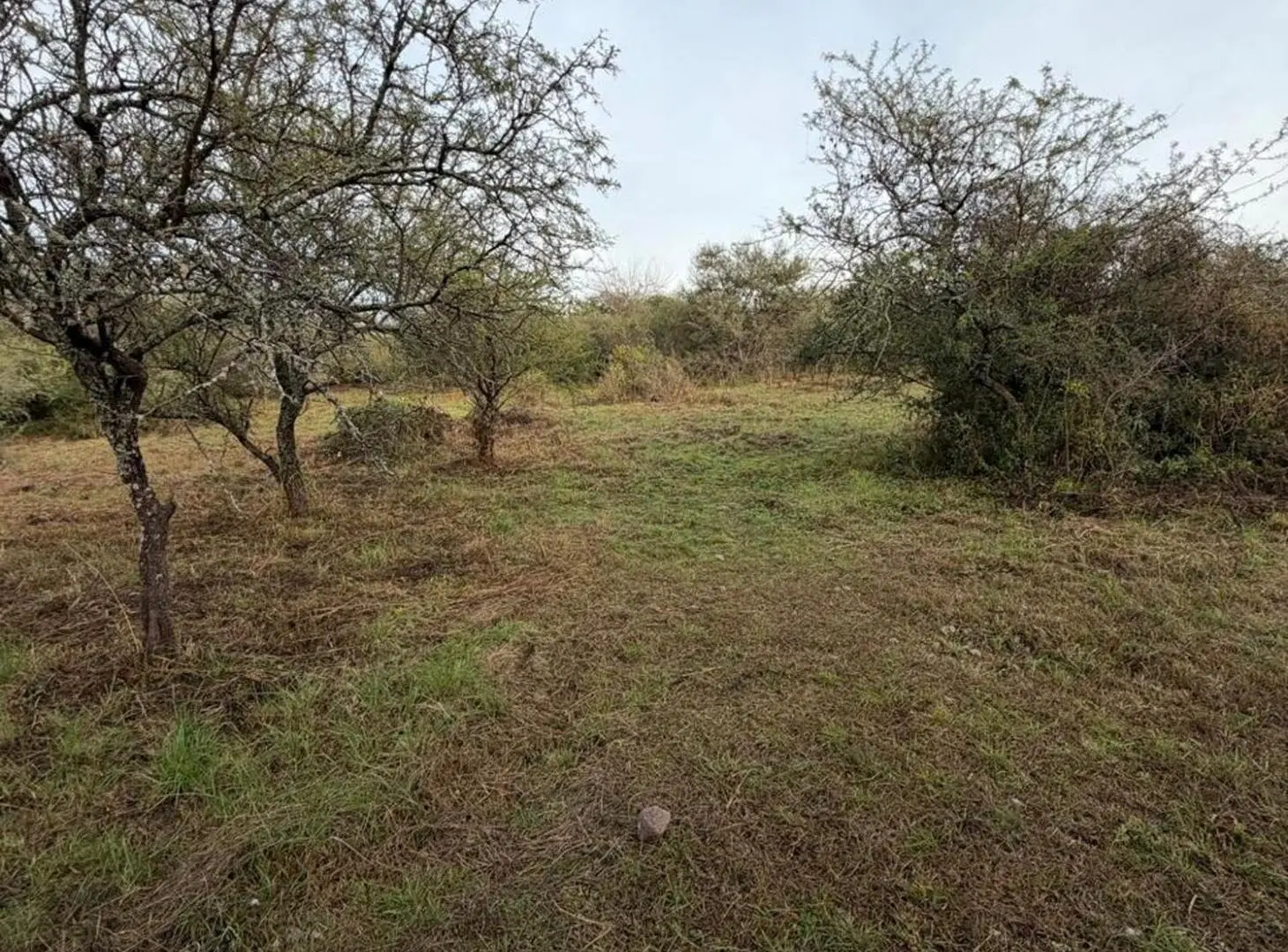 LOTE EN VENTA MENDIOLAZA GOLF CORDOBA 8
