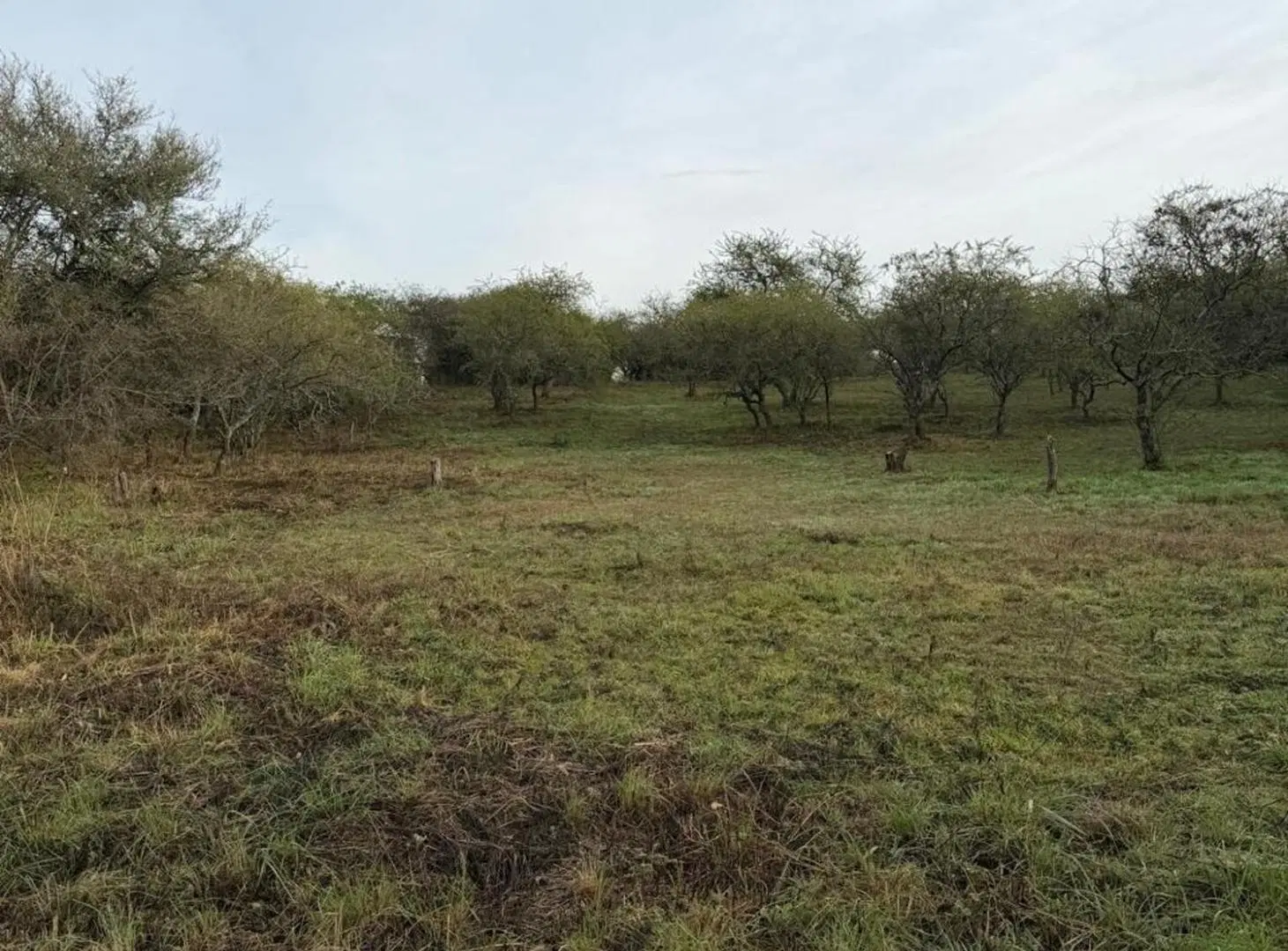 LOTE EN VENTA MENDIOLAZA GOLF CORDOBA 4