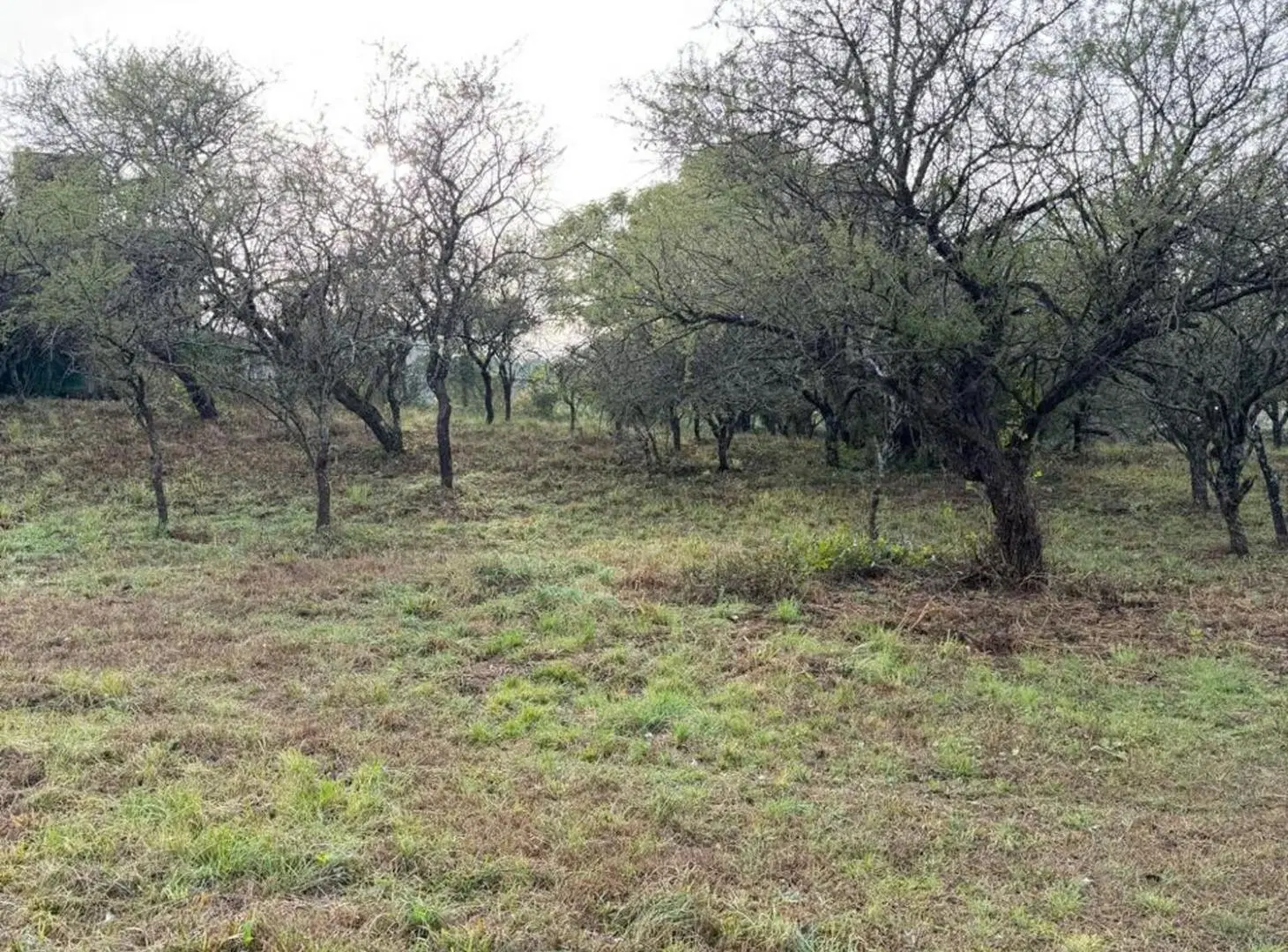 LOTE EN VENTA MENDIOLAZA GOLF CORDOBA 3