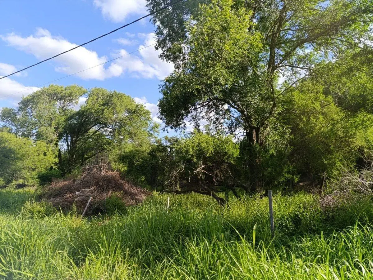 VENTA TERRENO ARBOLADO VILLA GENERAL BELGRANO 5