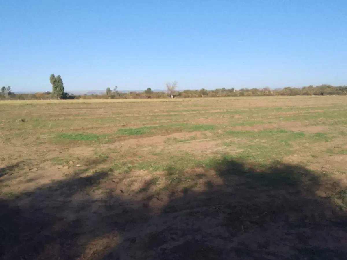 VENTA DE CAMPO 15 HAS EN VILLA DEL SOTO CORDOBA 4