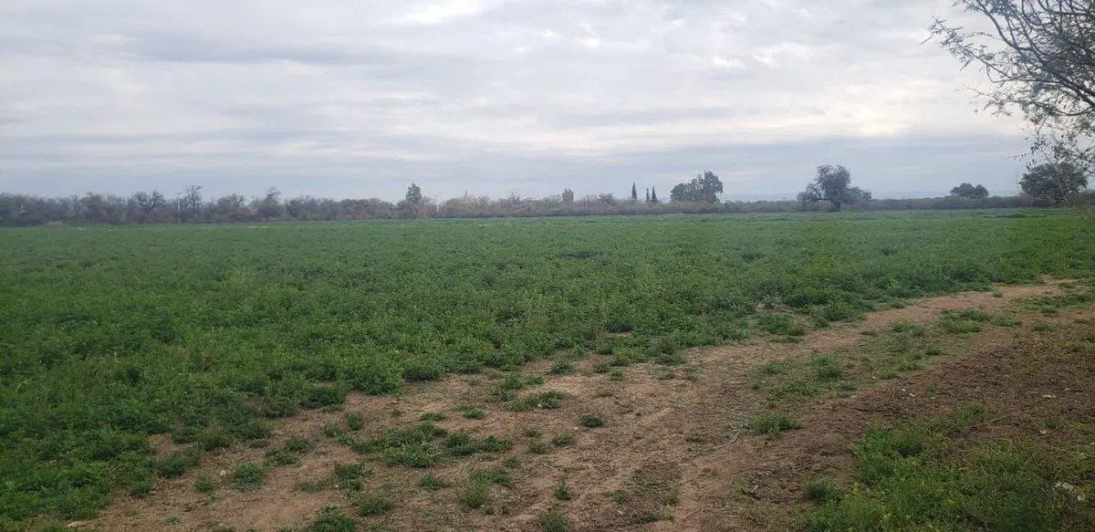 VENTA DE CAMPO 30 HAS EN VILLA DEL SOTO CORDOBA 2
