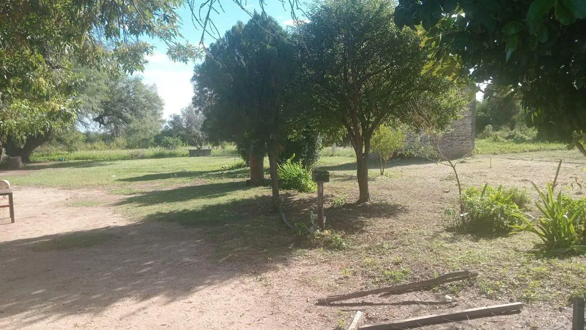 VENTA DE CAMPO 78 HAS EN VILLA DEL SOTO CORDOBA 3