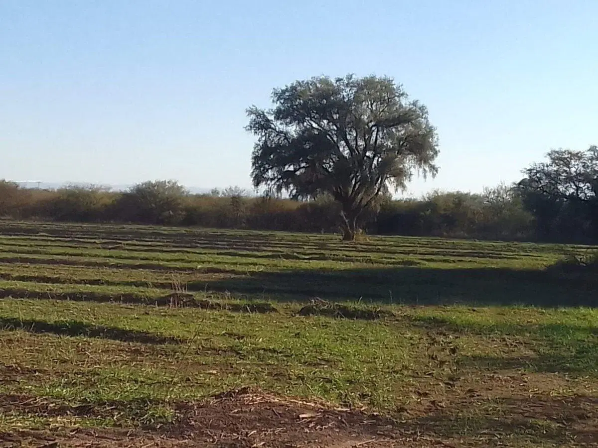 VENTA DE CAMPO 78 HAS EN VILLA DEL SOTO CORDOBA 5