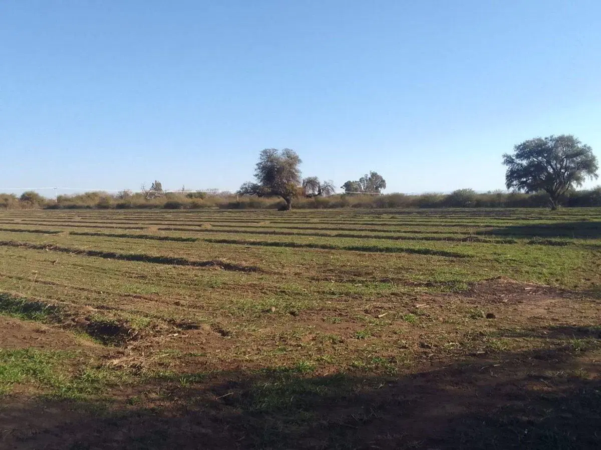 VENTA DE CAMPO 78 HAS EN VILLA DEL SOTO CORDOBA 4