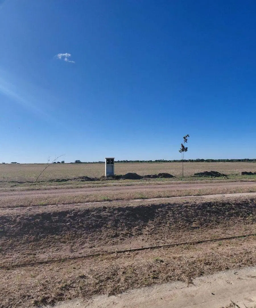 VENTA LOTE SINSACATE VISTA REAL CORBOBA 4