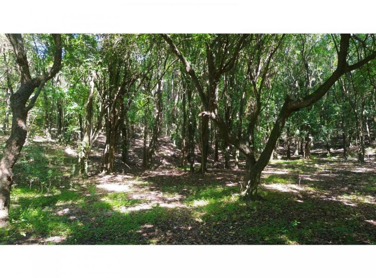 VENTA CAMPO 9.8 HECTAREAS RUTA E53 SALSIPUEDES 3