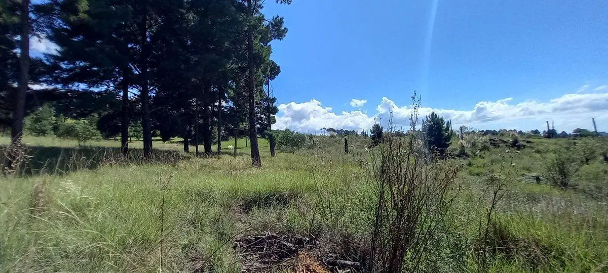 VENTA TERRENO VILLA YACANTO CORDOBA 4