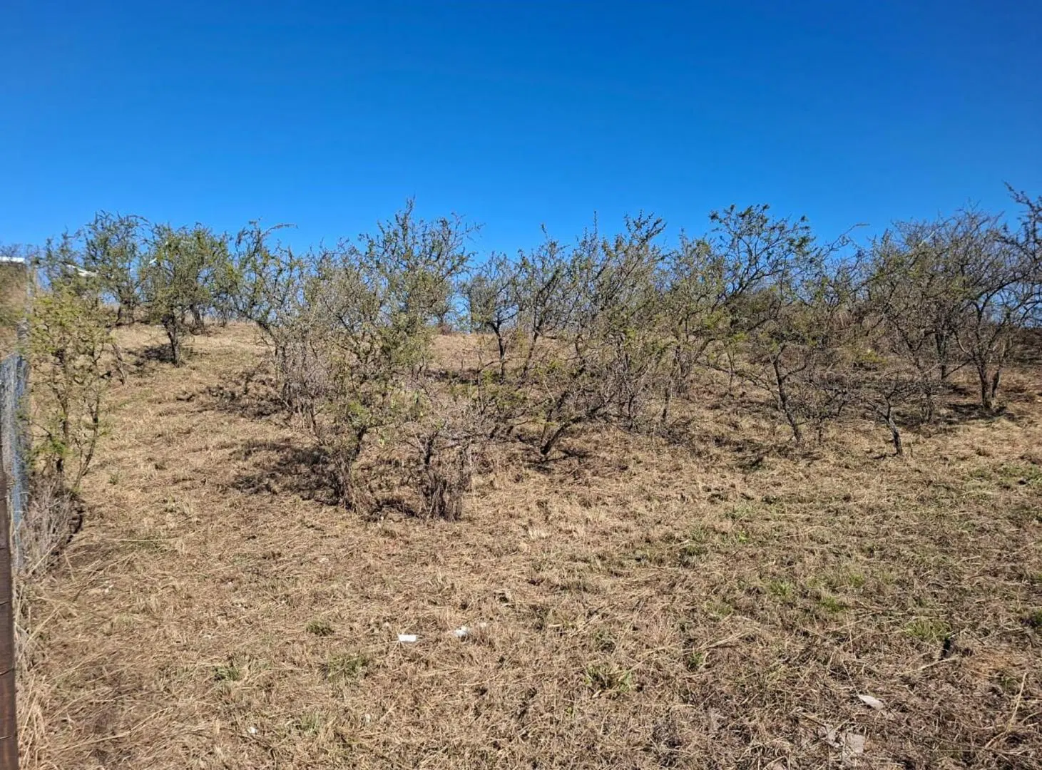 VENTA TERRENO VILLA DEL DIQUE CALAMUCHITA CORDOBA 8