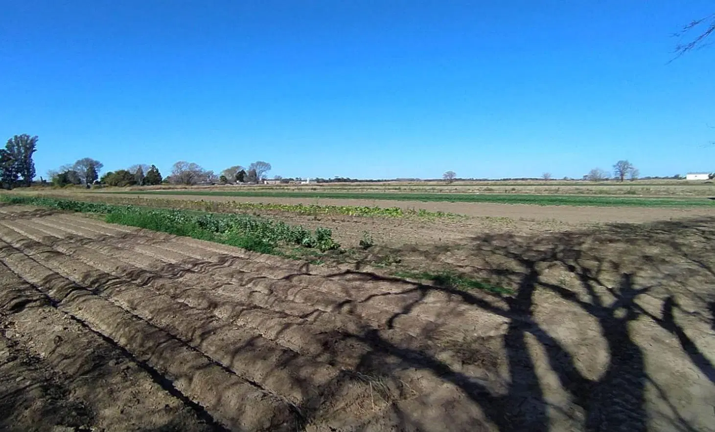 TERRENO VENTA ZONA SUR CORDOBA A MTS DE O'HIGGINS 8