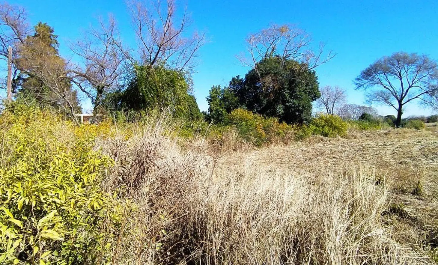 TERRENO VENTA ZONA SUR CORDOBA A MTS DE O'HIGGINS 2