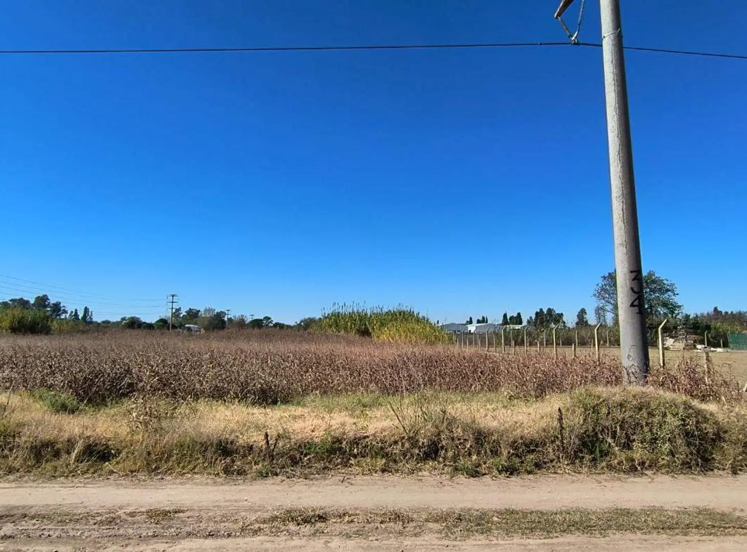 VENTA TERRENO MEDIA HECTAREA B° AEROPUERTO CÓRDOBA 8