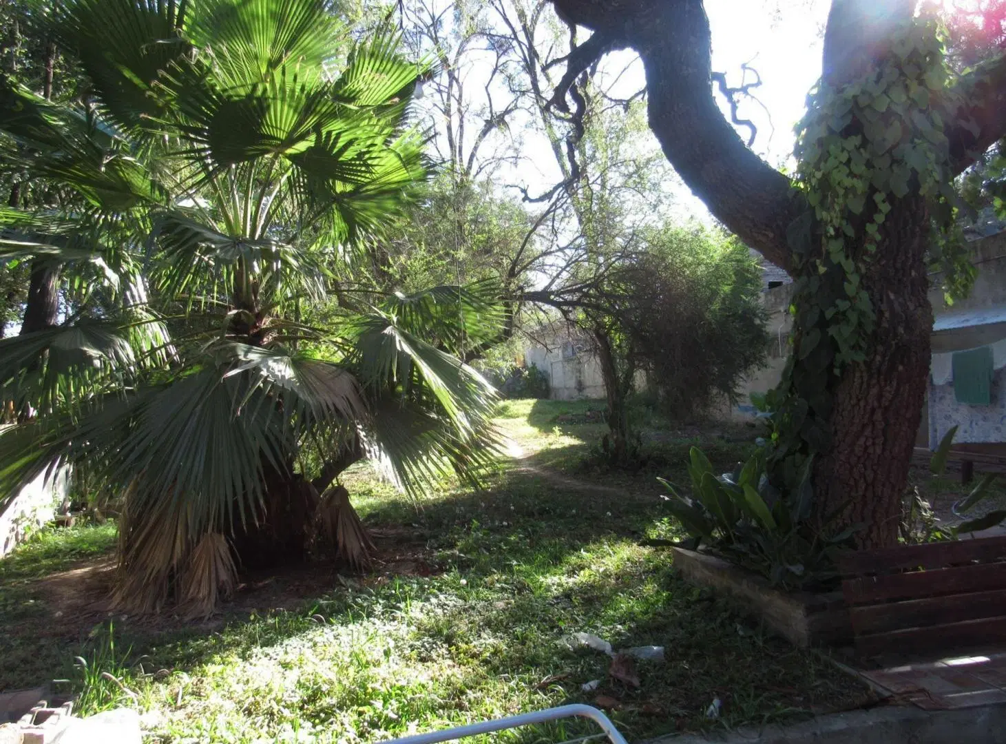 VENTA CASA 3 DORMITORIOS CON PILETA SALDAN CORDOBA 8