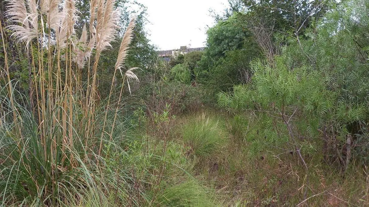 VENTA LOTE APTO 5 UNIDADES VILLA ALLENDE ESCRITURA 4