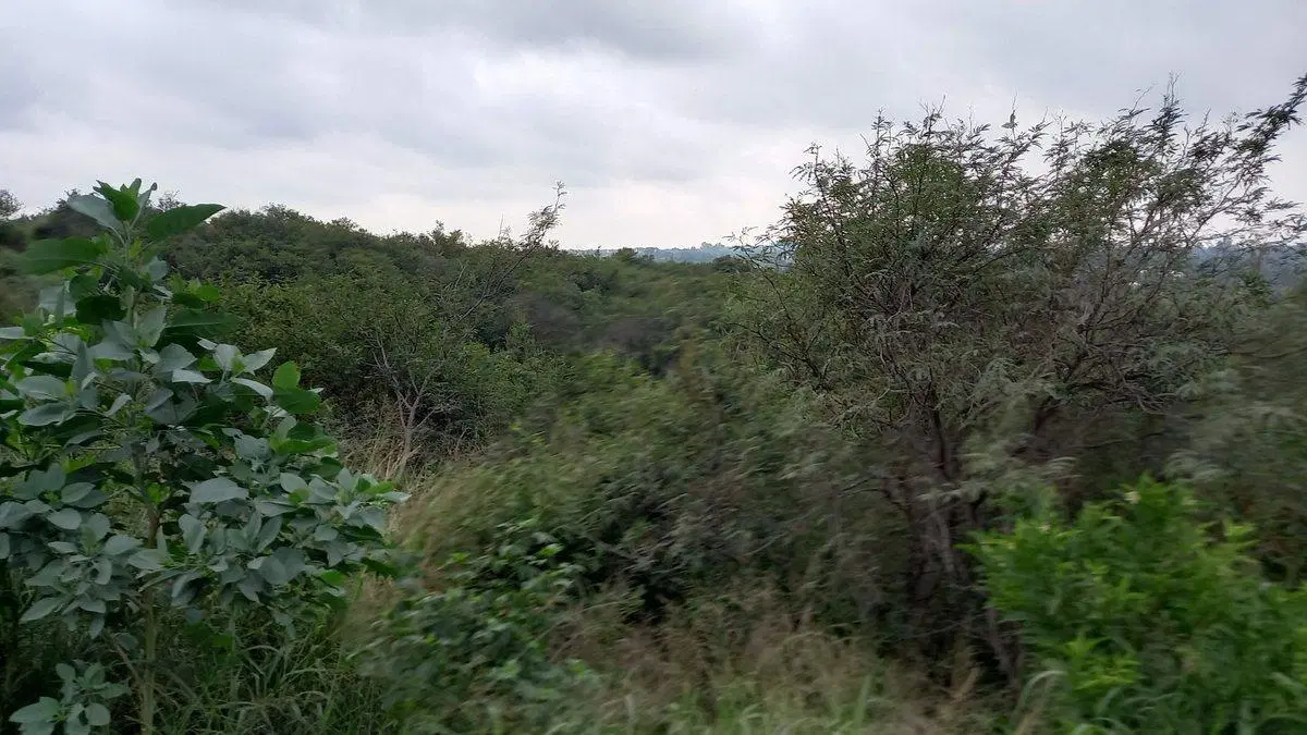 VENTA LOTE PARA DESARROLLO RESIDENCIAL - ESCRITURA 3