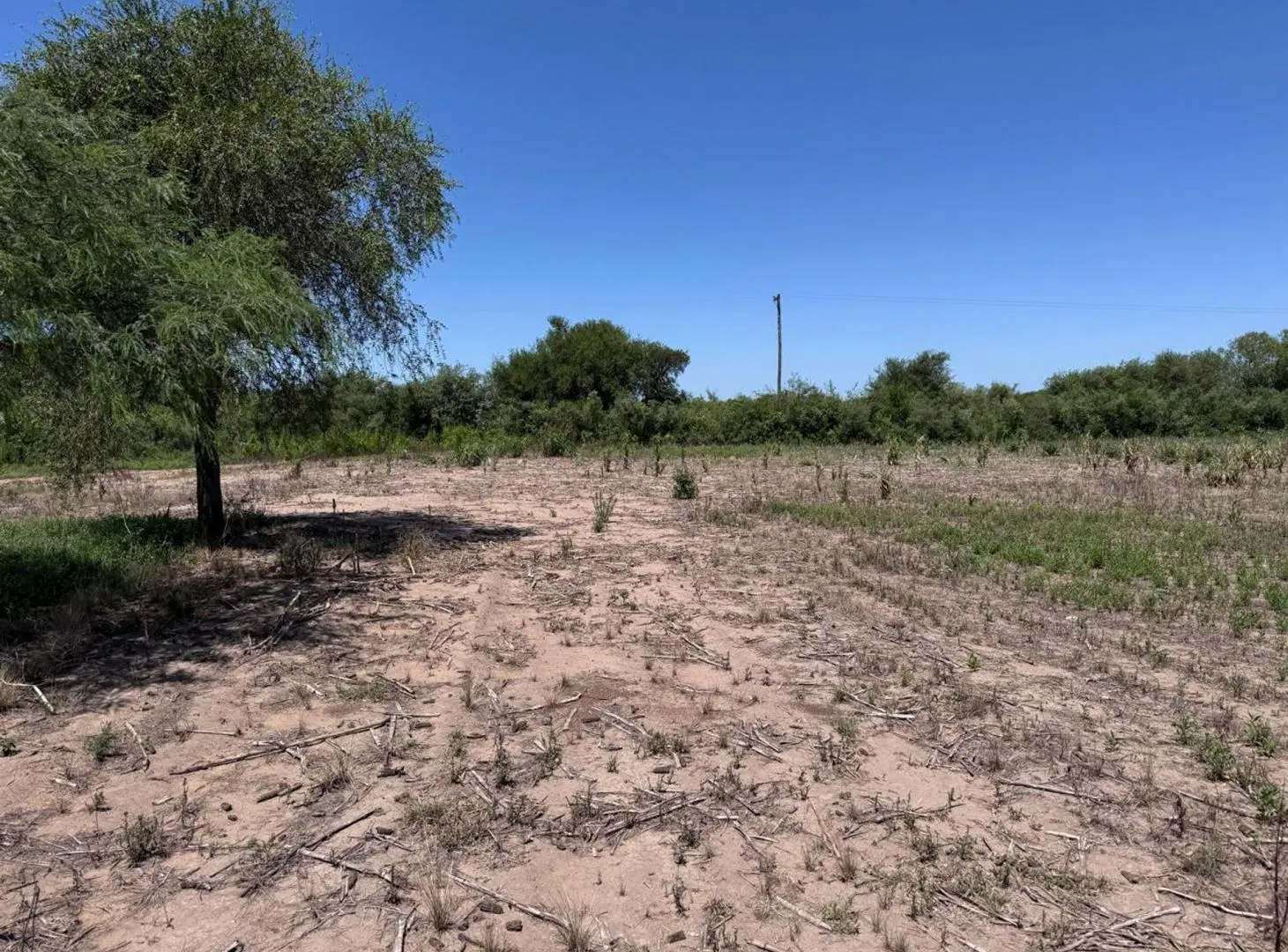 VENTA CAMPO 13 HECTAREAS ZONA VILLA ESQUIU 5