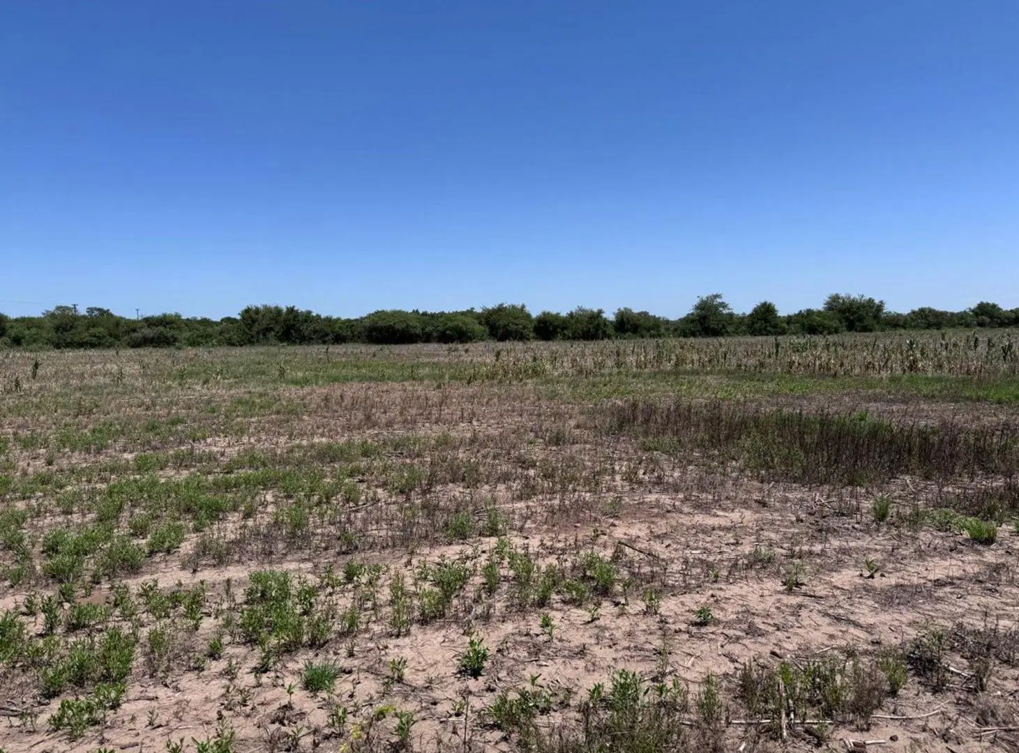 VENTA CAMPO 13 HECTAREAS ZONA VILLA ESQUIU 4