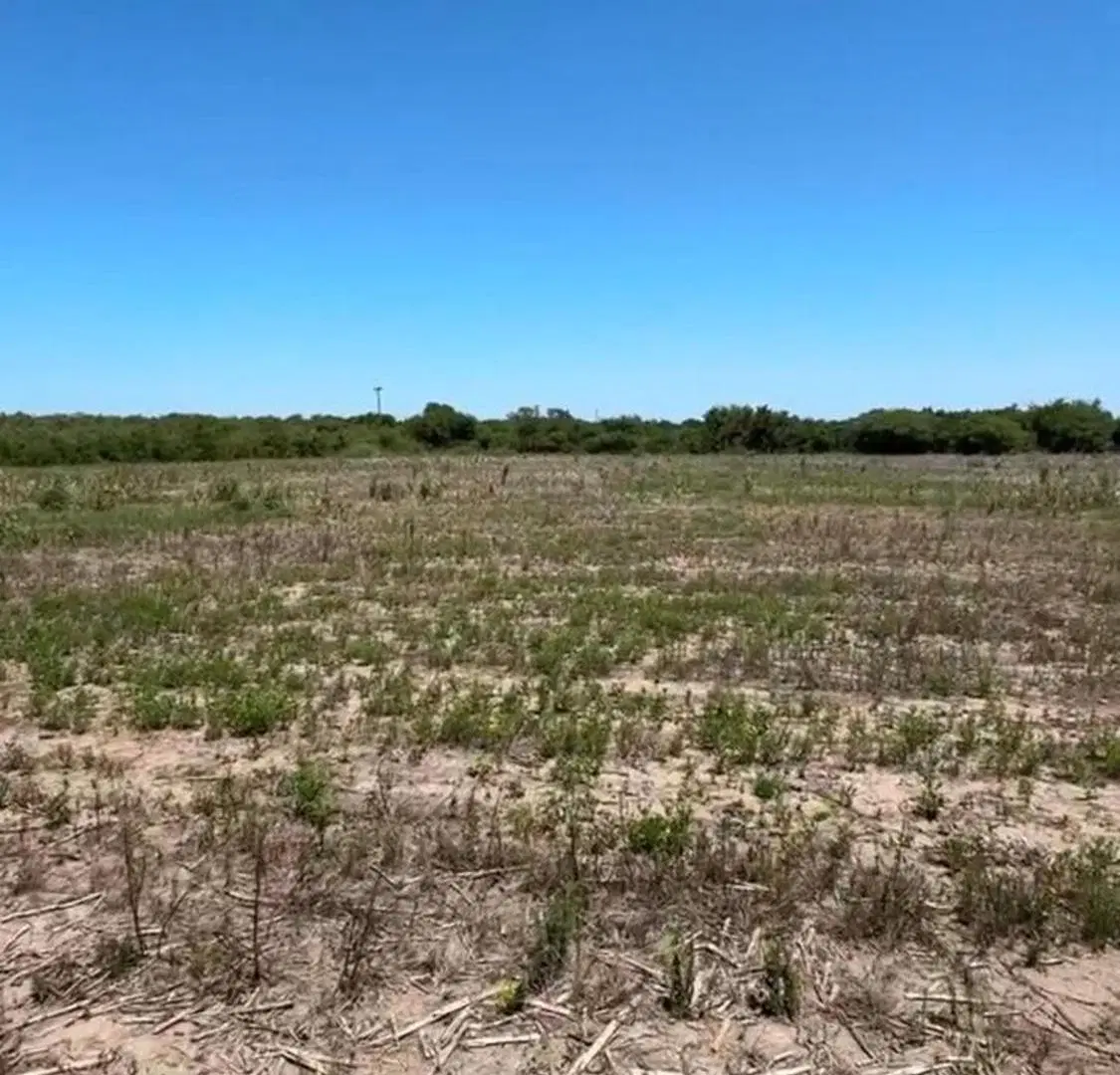 VENTA CAMPO 13 HECTAREAS ZONA VILLA ESQUIU 3
