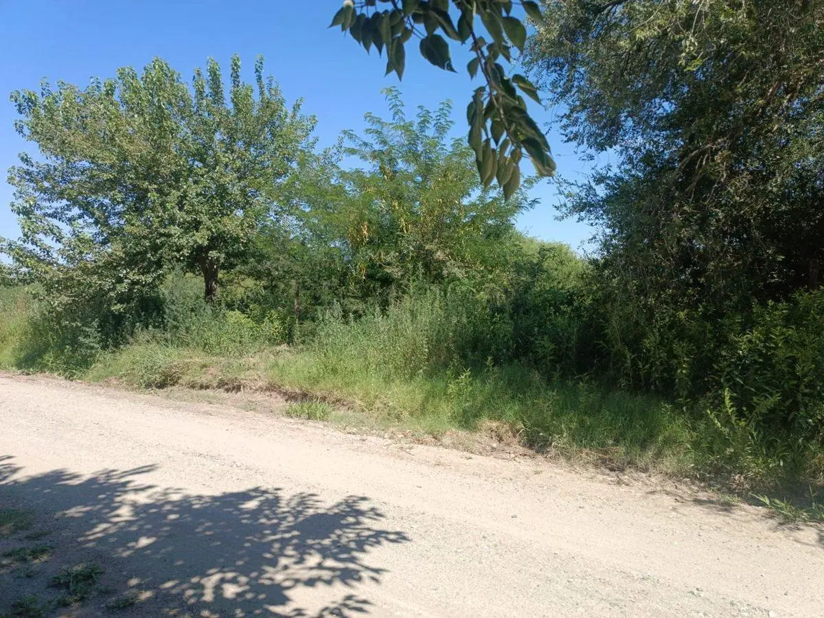 VENTA LOTE 8700 M2 ZONA INDUSTRIAL ALTA GRACIA CBA 8