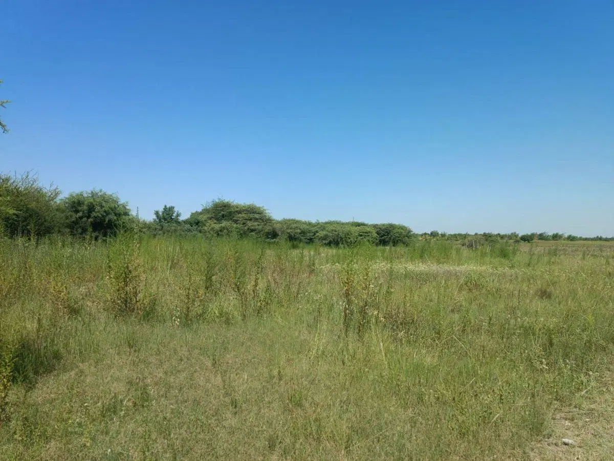 VENTA LOTE 8700 M2 ZONA INDUSTRIAL ALTA GRACIA CBA 3