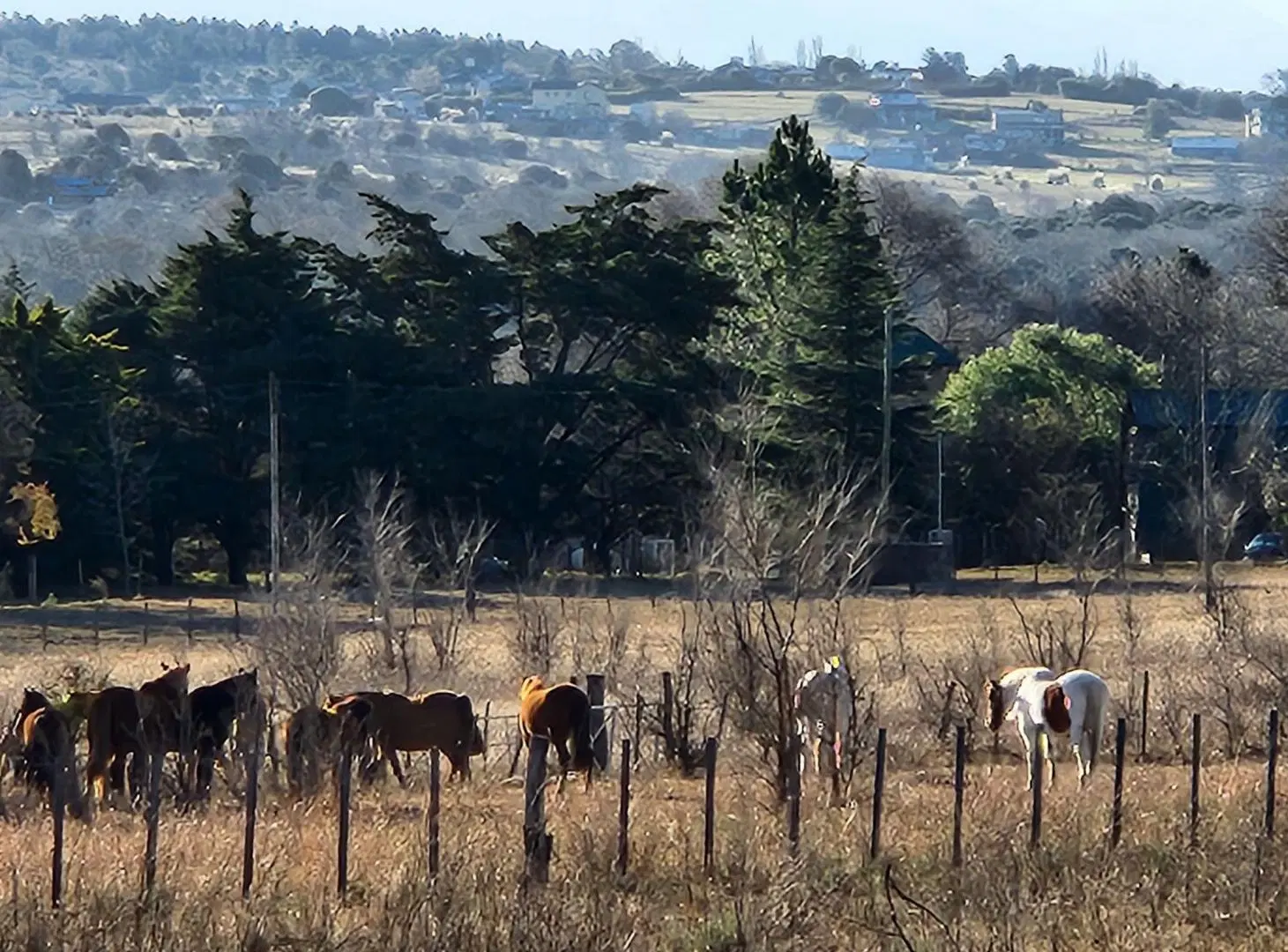 Venta Lote en los Reartes, Calamuchita, Córdoba 4