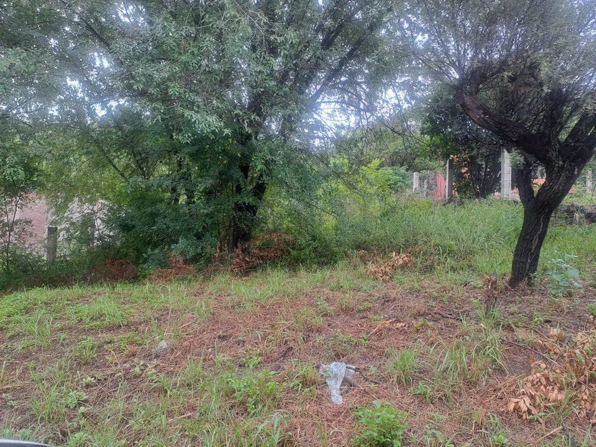 VENTA LOTE 1000 MTS BIALET MASSE CORDOBA 3