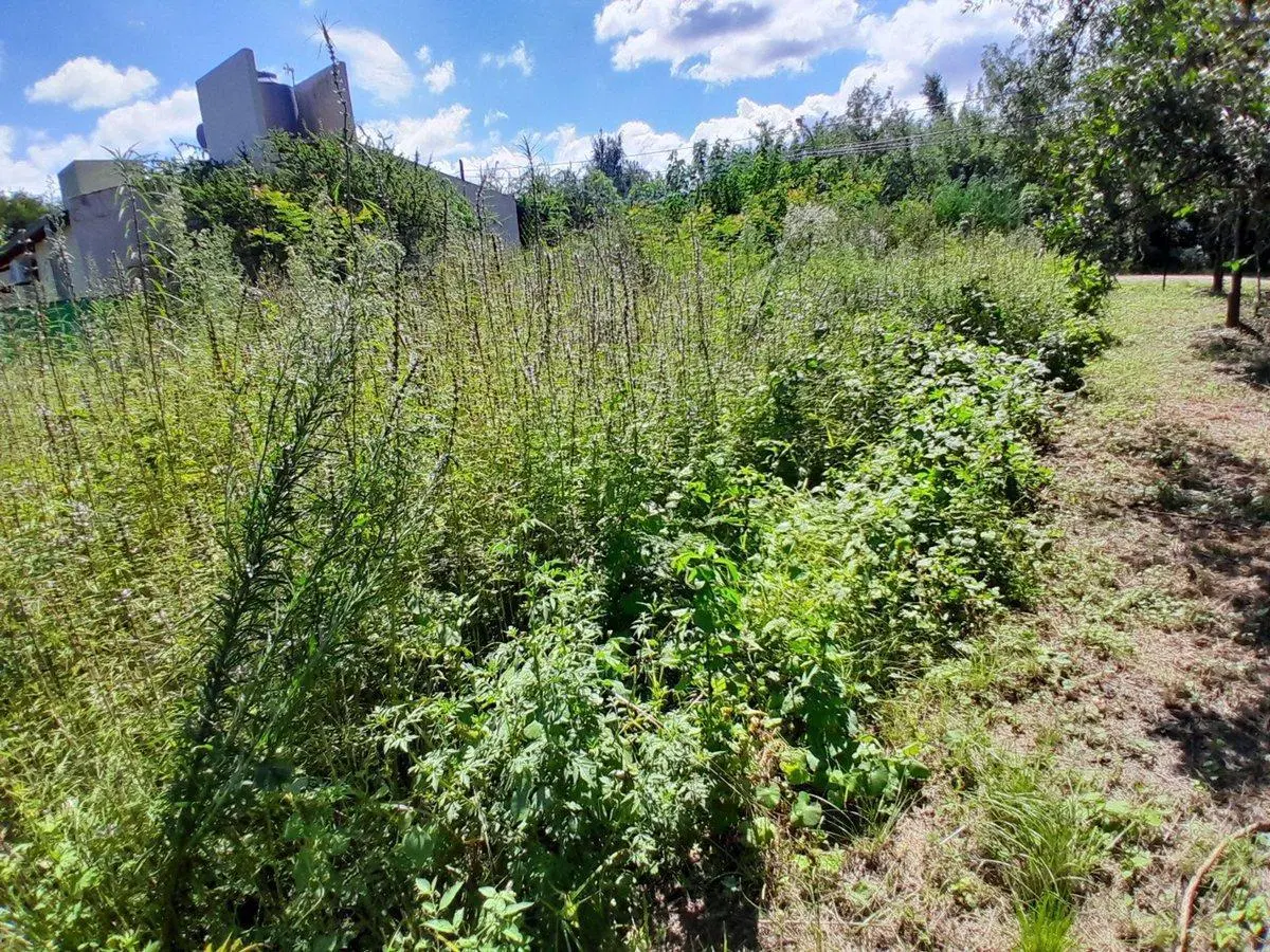 VENTA LOTE  RIO CEBALLOS CORDOBA 7