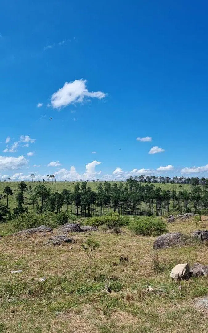 VENTA LOTE EN LA TORCACITA SAN CLEMENTE 720M2 4