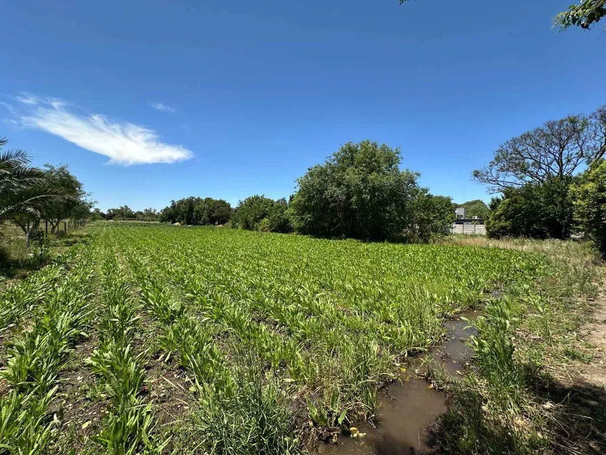 VENTA LOTE INDUSTRIAL 2500 MTS VILLA GRAN PARQUE 5
