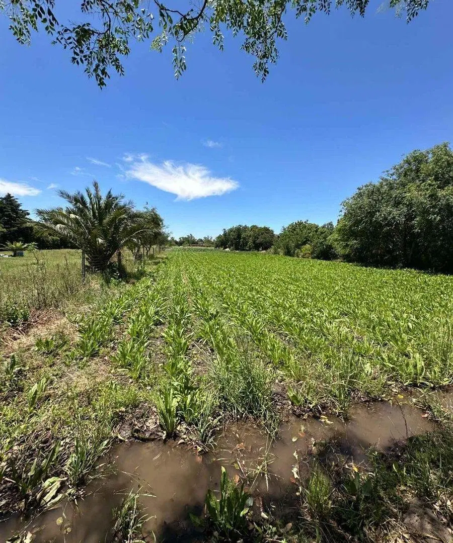 VENTA LOTE INDUSTRIAL 2500 MTS VILLA GRAN PARQUE 4