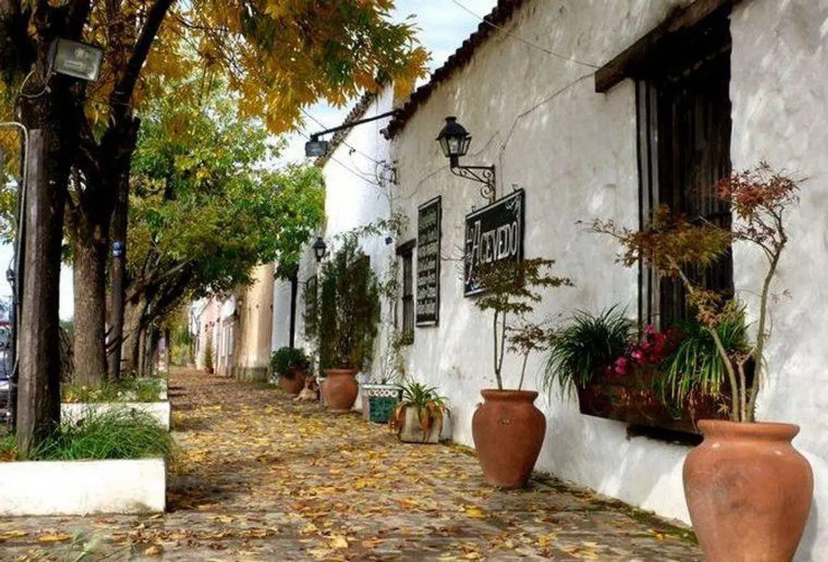 VENTA DE LOTE. LOS REARTES. CORDOBA 8