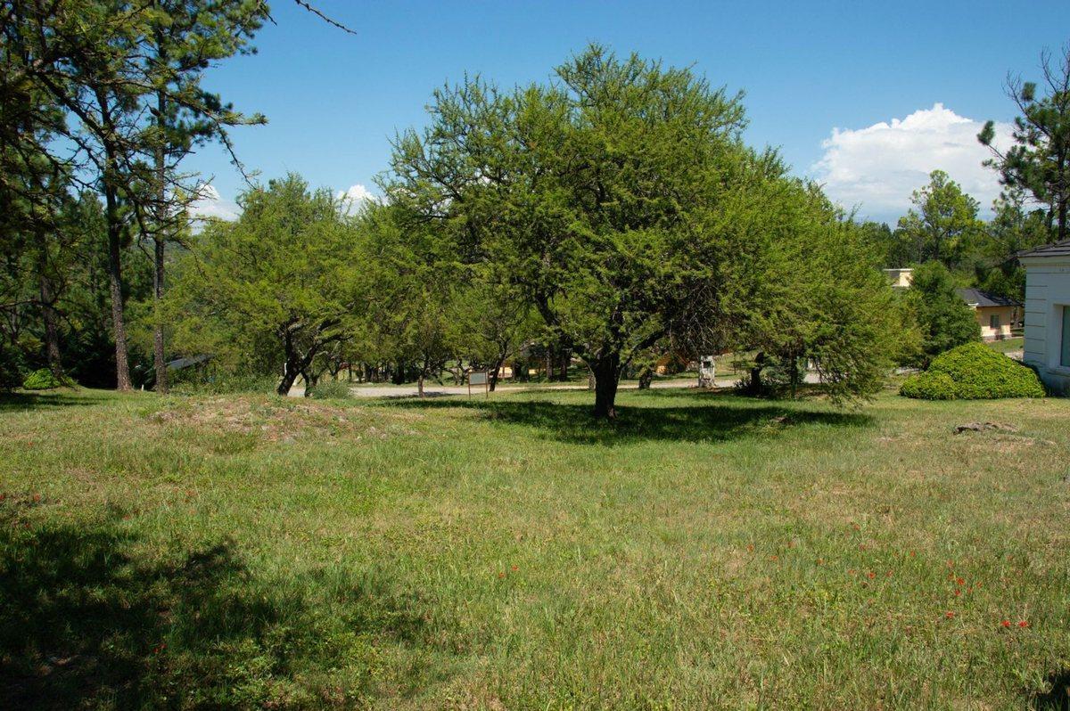 Foto de VENTA LOTE POSTA CARRETA, CALAMUCHITA, CORDOBA, imagen 2