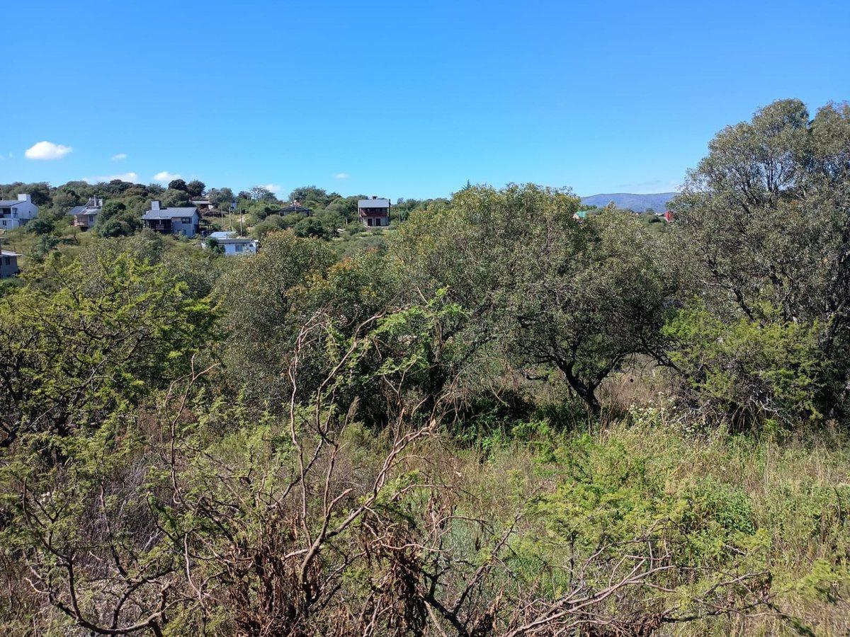 Foto de Venta Lote en Villa General Belgrano Córdoba, imagen 3