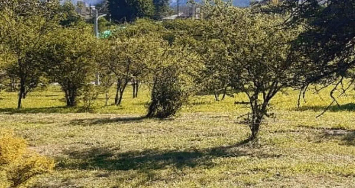 VENTA LOTE 457 M2 Bº PRIVADO "LA ADELA" UNQUILLO 4