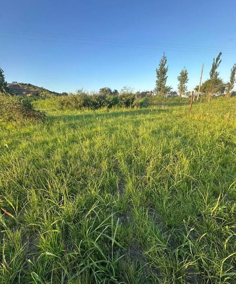 VENTA LOTE SOLES SERRANOS 1 UNQUILLO CÓRDOBA 5