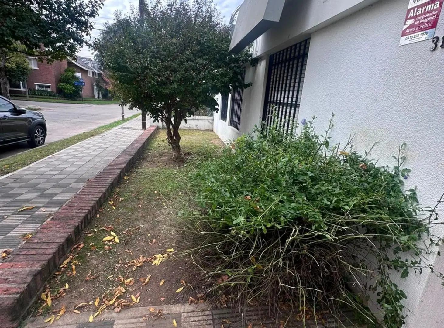 ALQUILER CASA 3 DORM. PATIO Bº ALTO VERDE CÓRDOBA 2