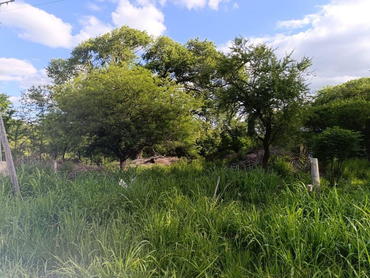 Foto de VENTA TERRENO ARBOLADO VILLA GENERAL BELGRANO, imagen 4