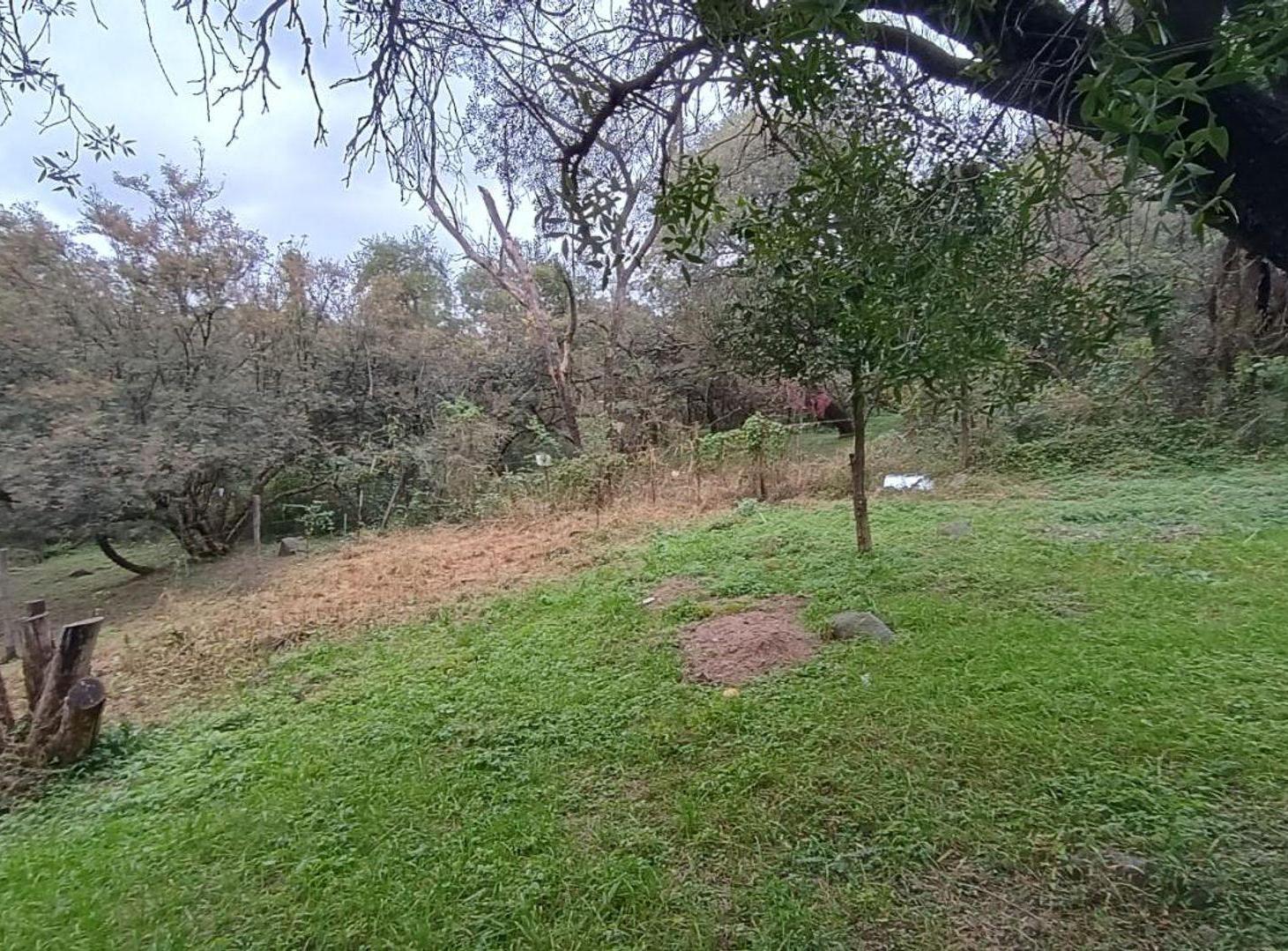 Foto de VENTA TERRENO 2952 Mt2 SUBDIVIDIDO UNQUILLO CBA, imagen 2