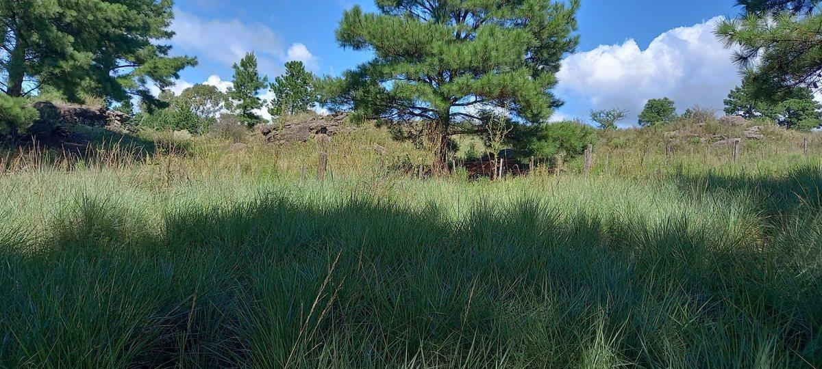 Foto de VENTA TERRENO VILLA YACANTO CORDOBA, imagen 5