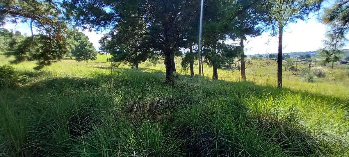 Foto de VENTA TERRENO VILLA YACANTO CORDOBA, imagen 2
