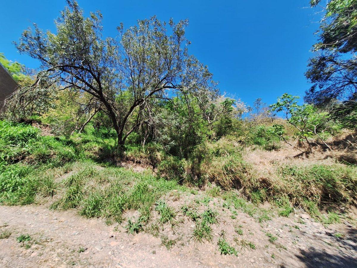 Foto de VENTA LOTE VALLE DEL SOL MENDIOLAZA 725 M2, imagen 1