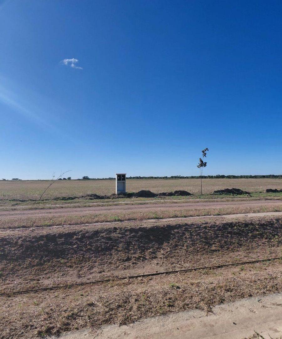 Foto de VENTA LOTE SINSACATE VISTA REAL CORBOBA, imagen 5