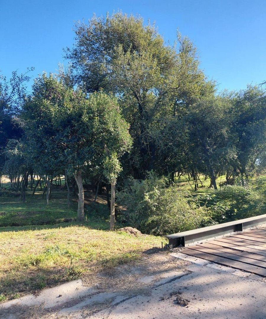 Foto de VENTA LOTE SINSACATE VISTA REAL CORBOBA, imagen 3