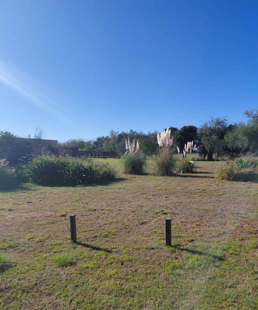 Foto de VENTA LOTE SINSACATE VISTA REAL CORBOBA, imagen 2